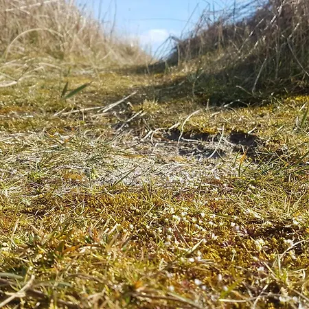 Casa vacanze 6 Person In Sydals-by Traum