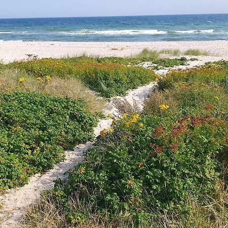 6 Person In Sydals-by Traum *